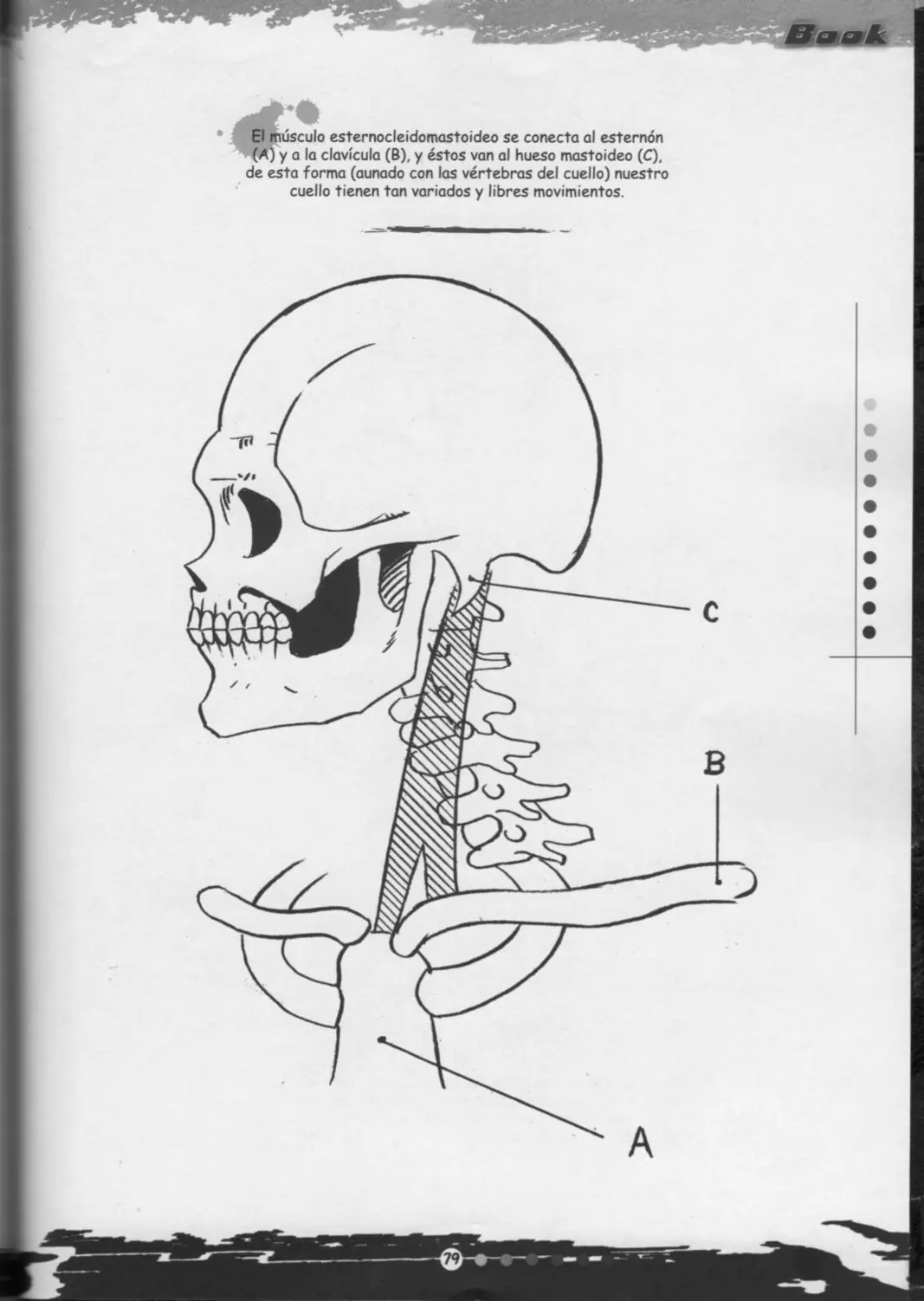 dibujos animados
