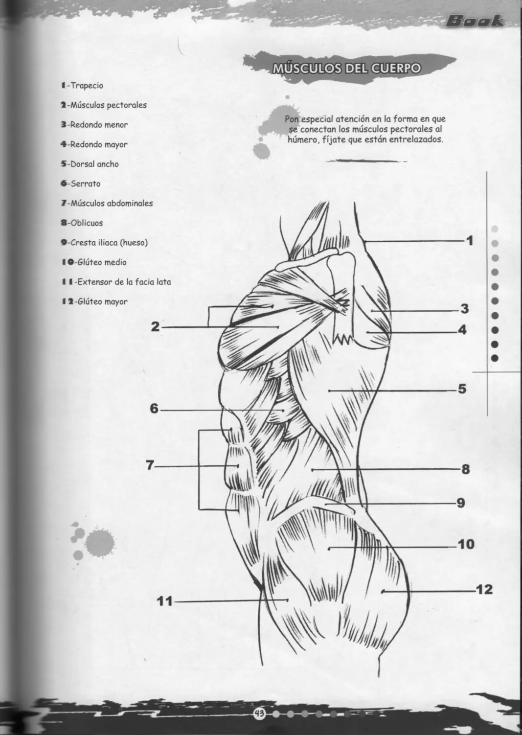 dibujos animados