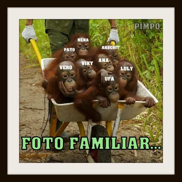 frases