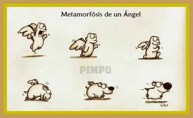 frases