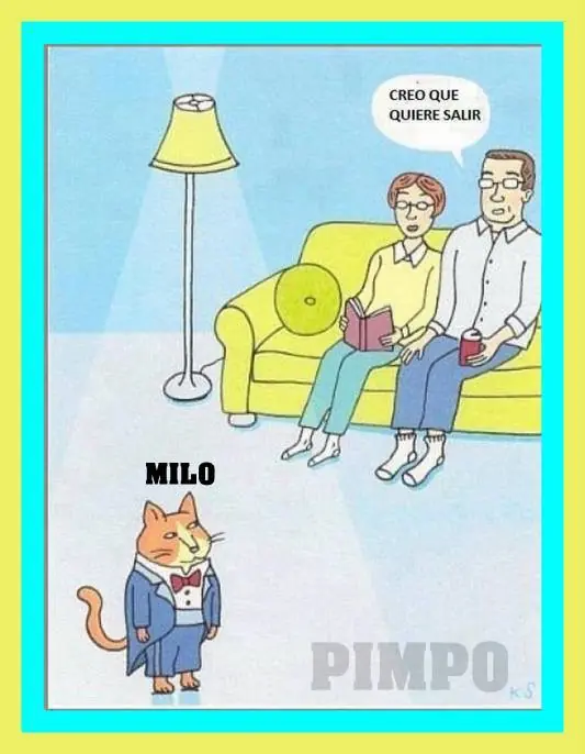 Humor Grafico