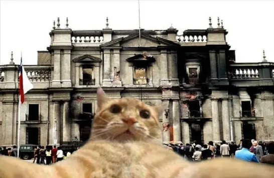 10 frases célebres de Salvador Allende