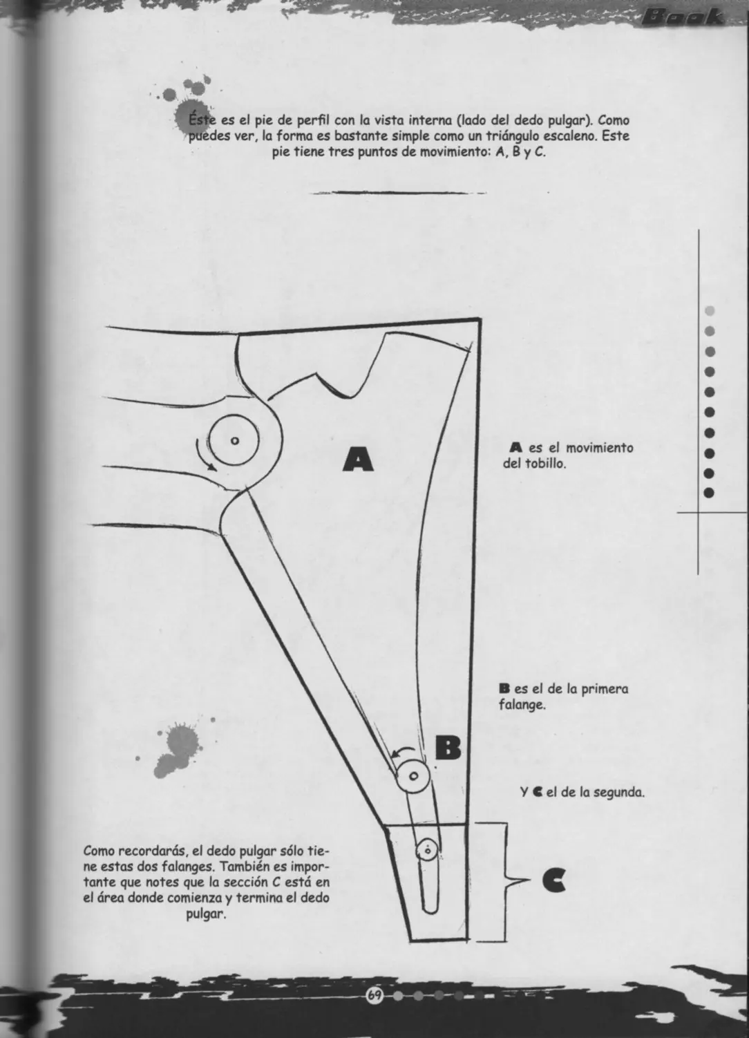tutorias udg