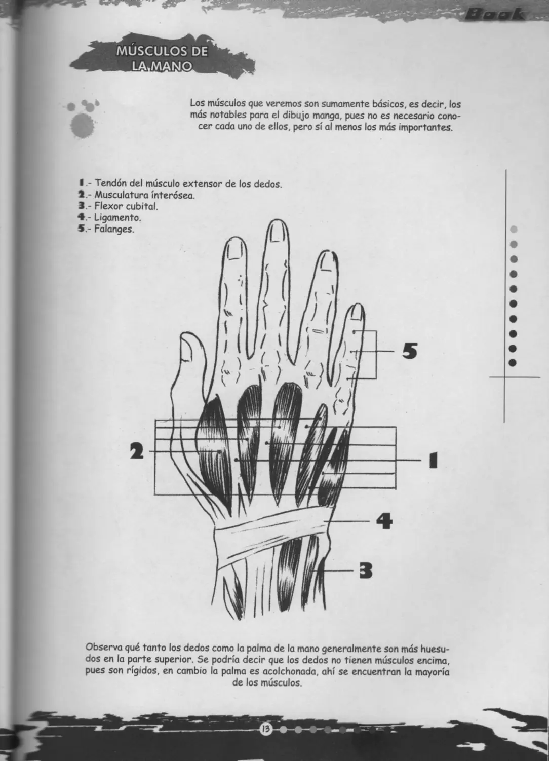 tutorias udg