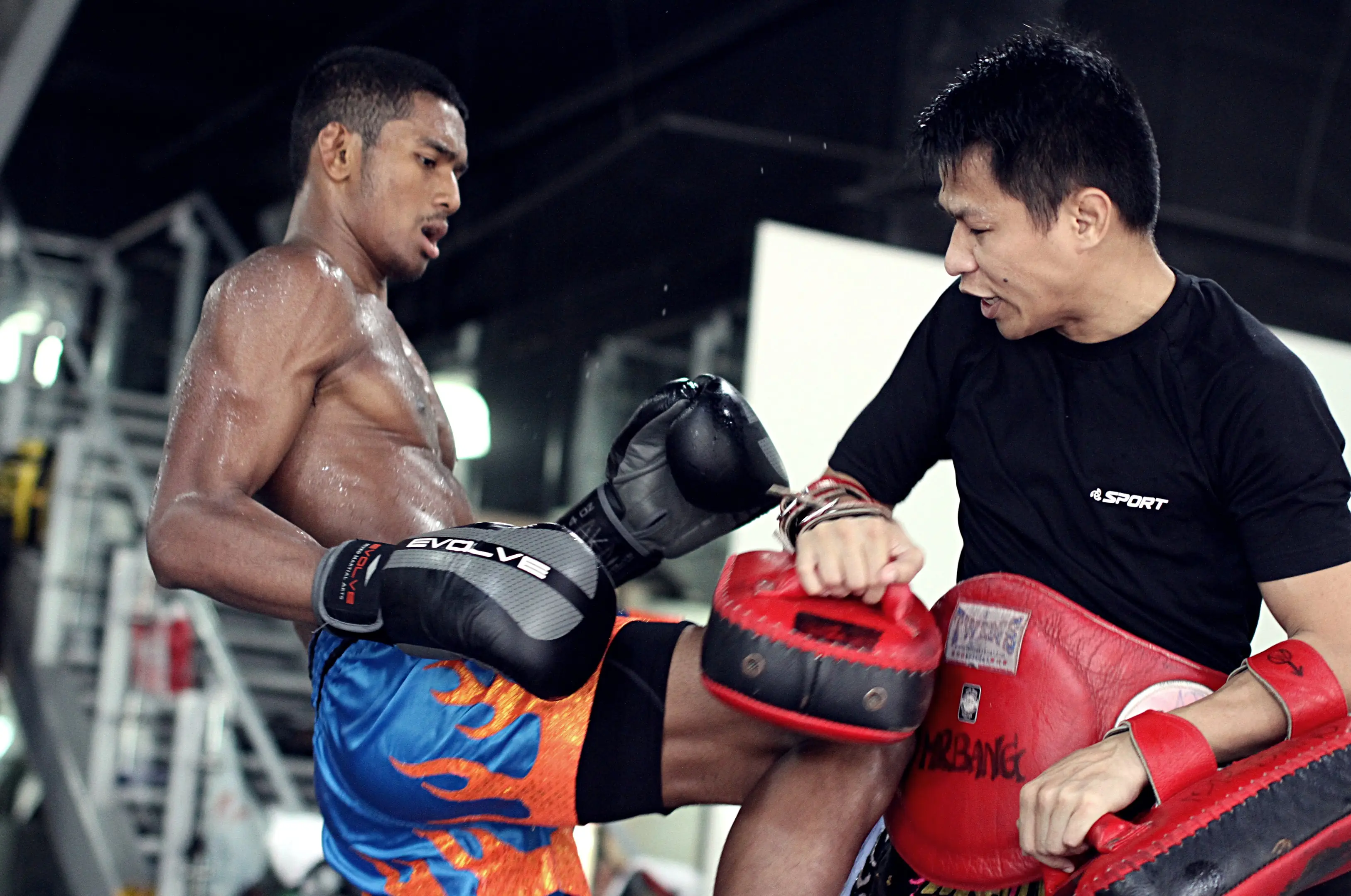 artes marciales