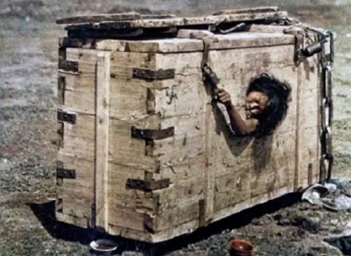 18 Artículos de Wikipedia que no te dejarán dormir