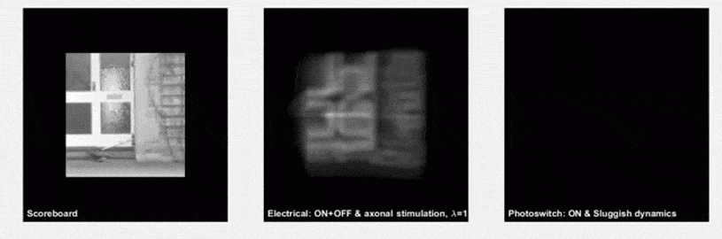 Así se ve el mundo a través de un ojo biónico