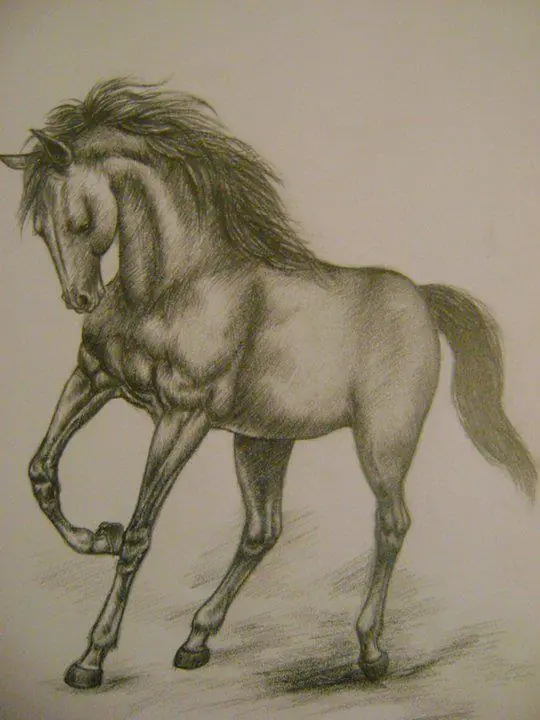 Algunos de mis dibujos a lápiz