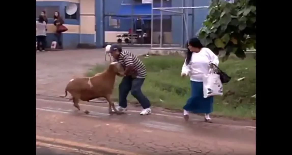 Cabras
