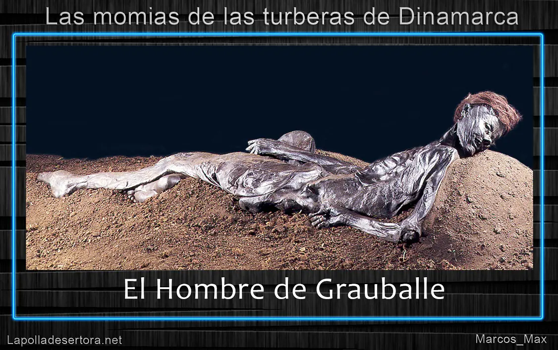 Lapolladesertora