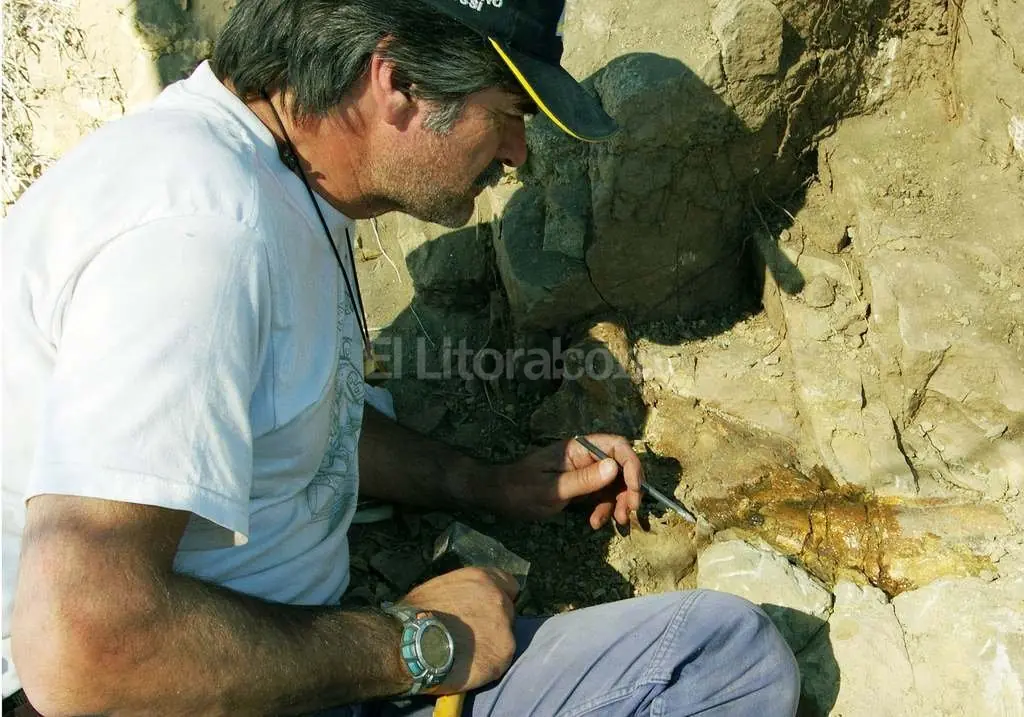 Descubren un nuevo antepasado del hombre: el Homo naledi