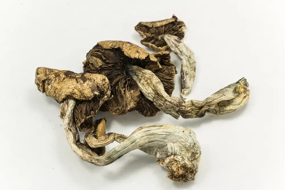 LSD