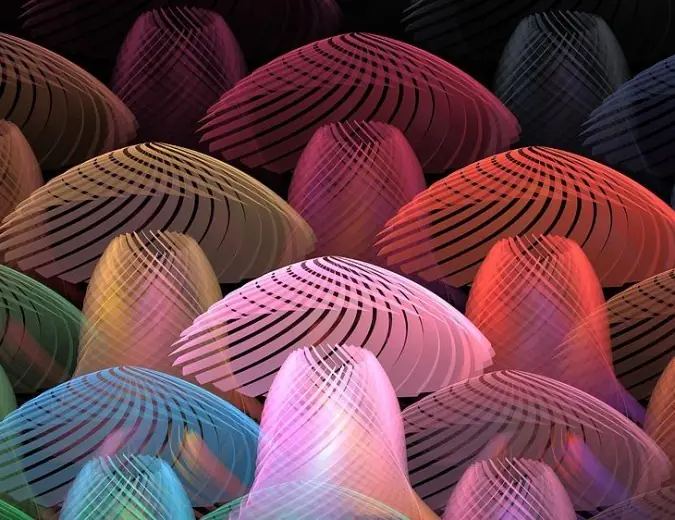 Como la psilocibina mejora tu cerebro