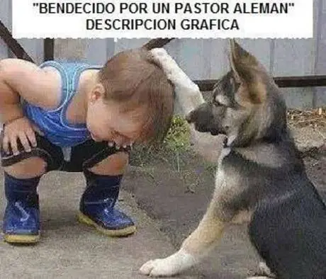 imagenes