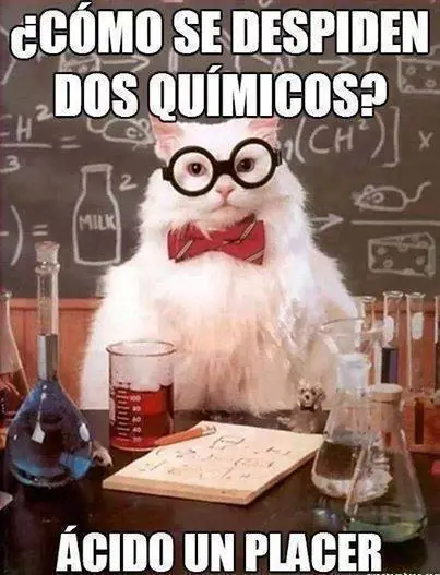 humor