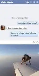 amor