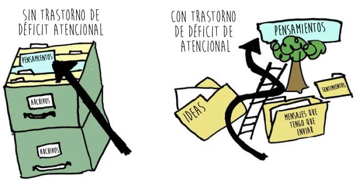 desorden