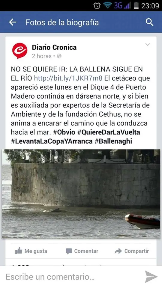 Delirios argentos