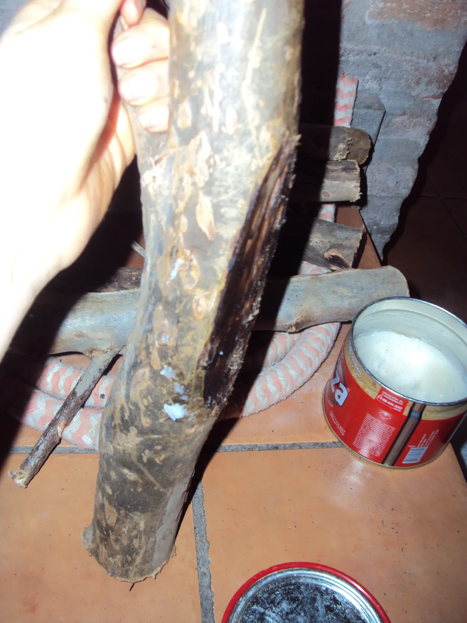Perchero de ramas enmarcado