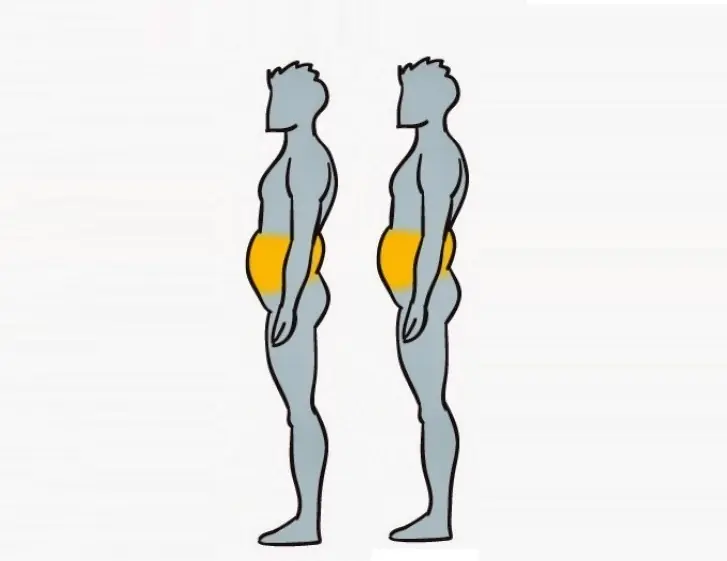 mi dieta no funciona