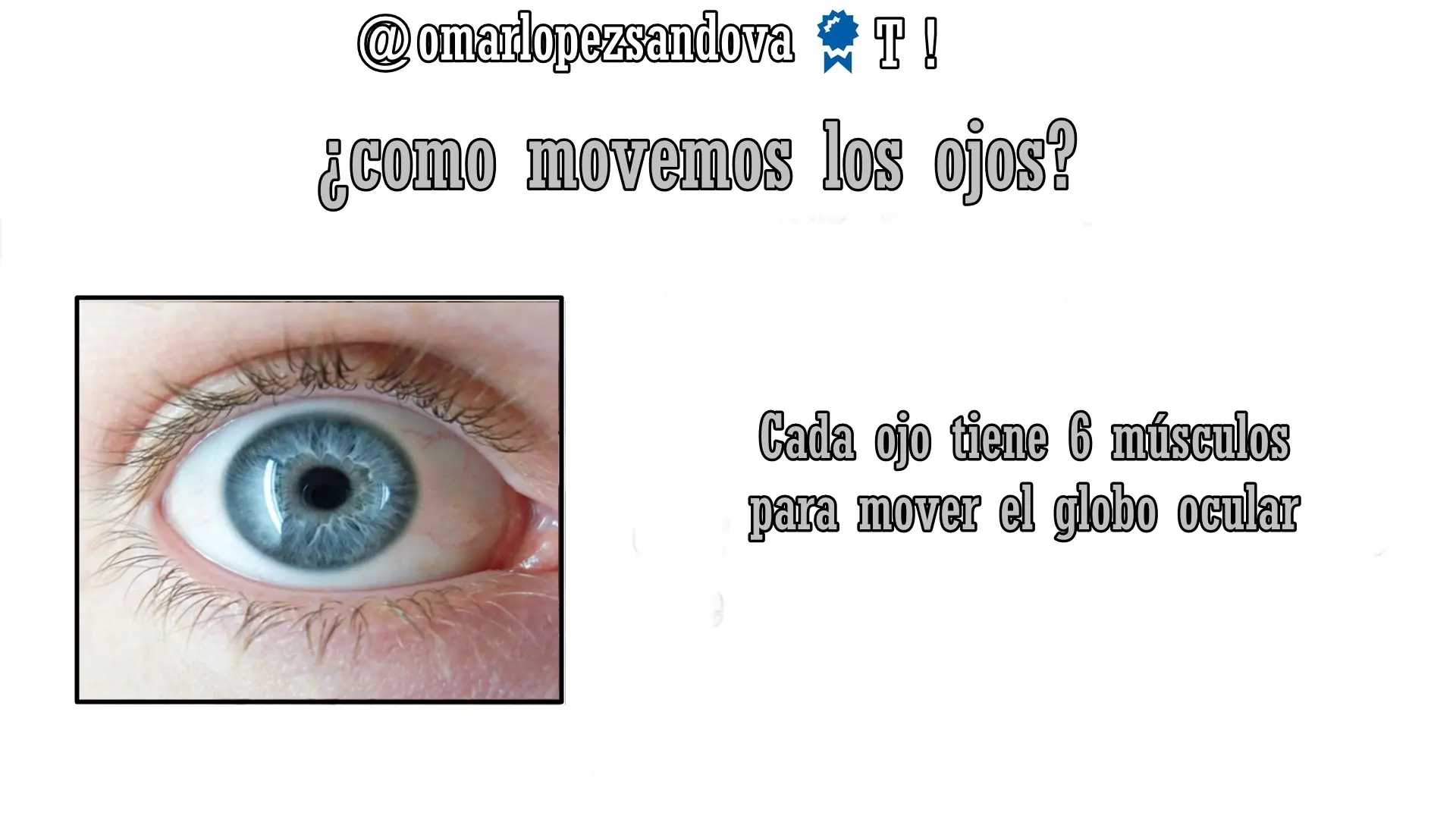 ojos