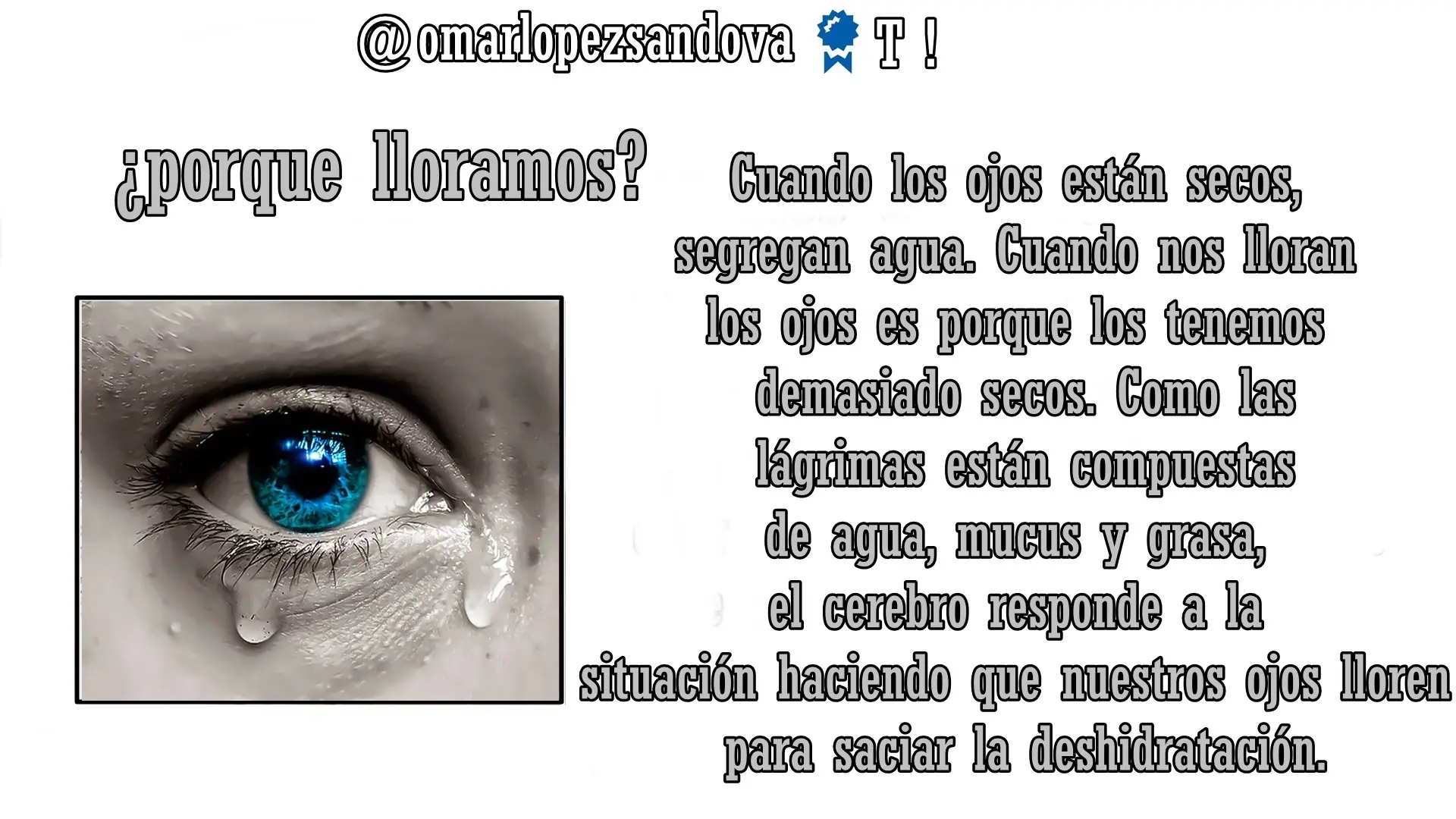 curiosidades