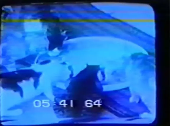 Fantasmas Fantasmas