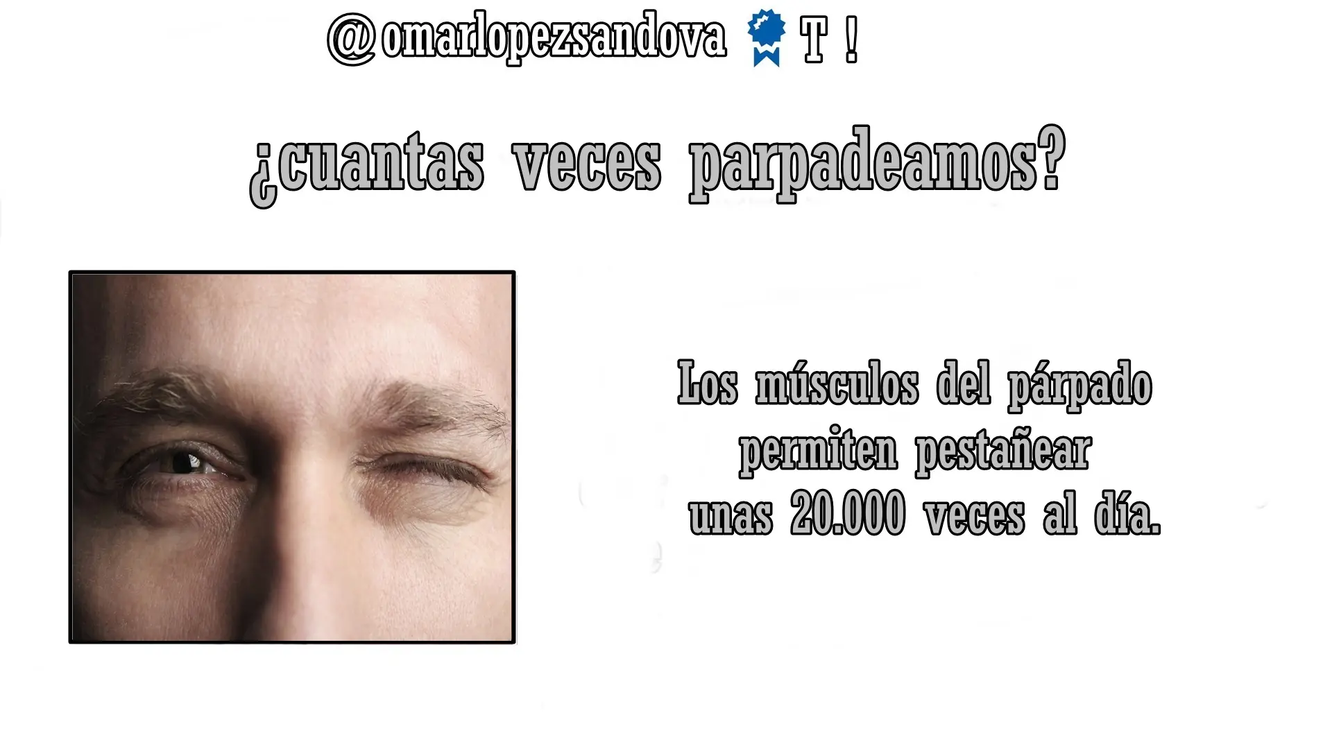 humano