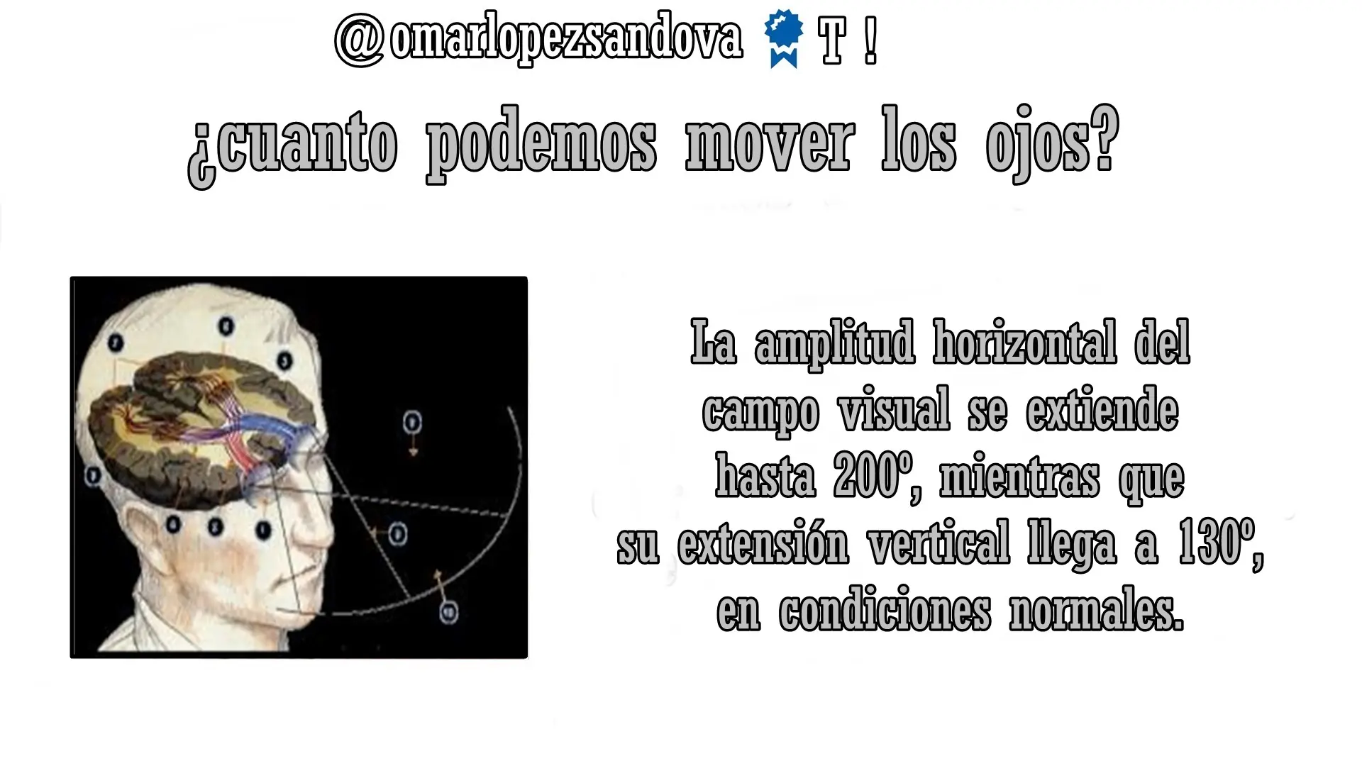 curiosidades