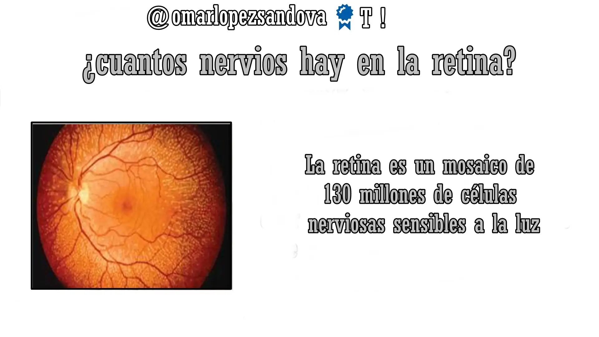 realidades