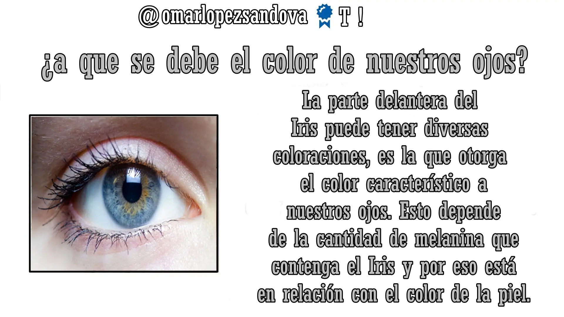realidades