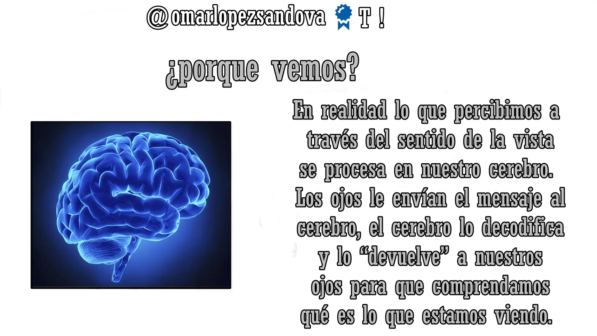 curiosidades