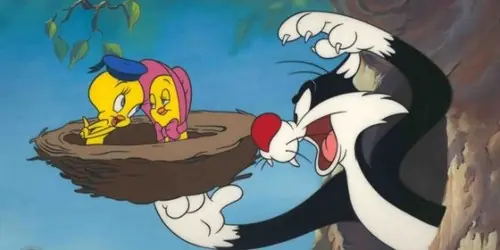 Warner Channel: Especial animado por los 20 años del canal