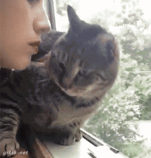 CATURDAY