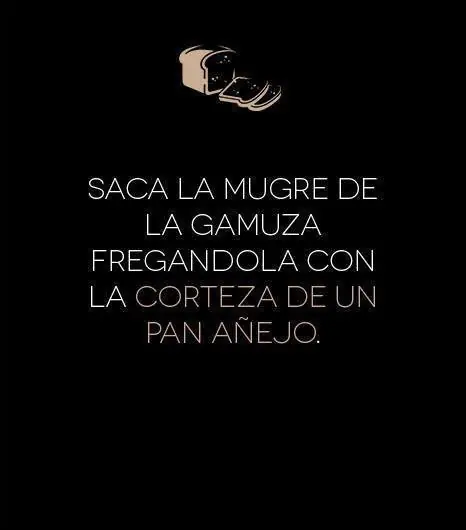 inteligencia colectiva
