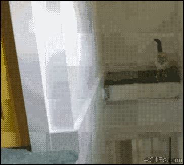 CATURDAY
