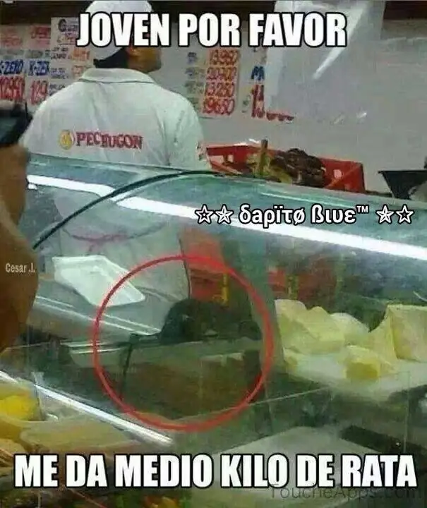 celulares