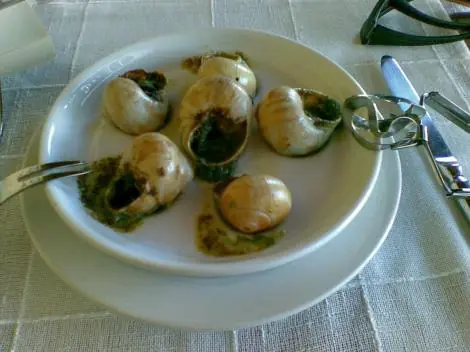 caracoles caracoles