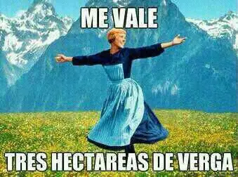 memes