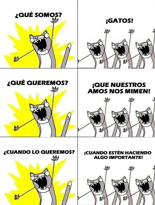 que queremos