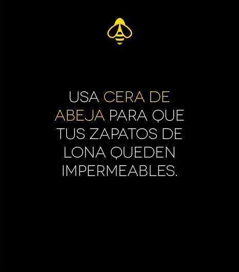 inteligencia colectiva