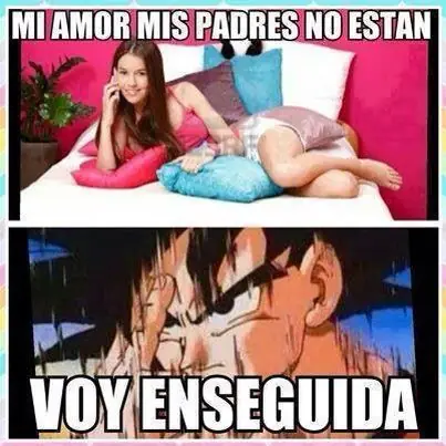 Memes para enviar por Whatsapp