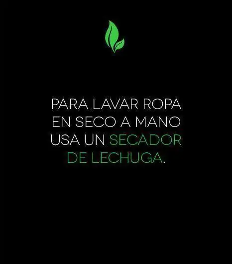 inteligencia colectiva