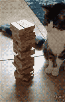 Creo que mi gato tiene problemas. Ayuda.