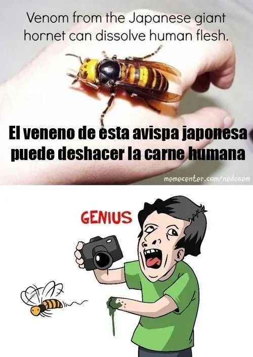 Humor retrasado :V Parte:?