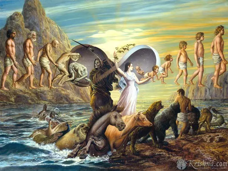 Habitantes humanos muertos