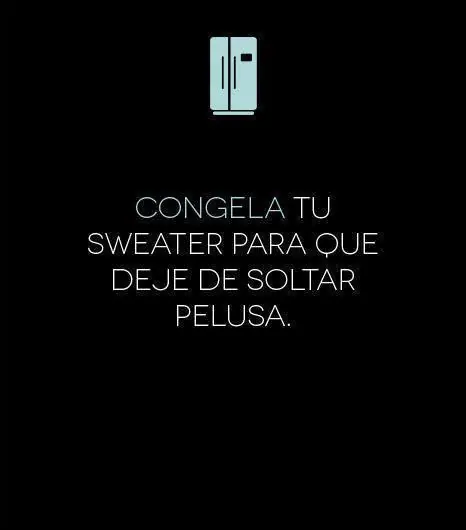 consejo