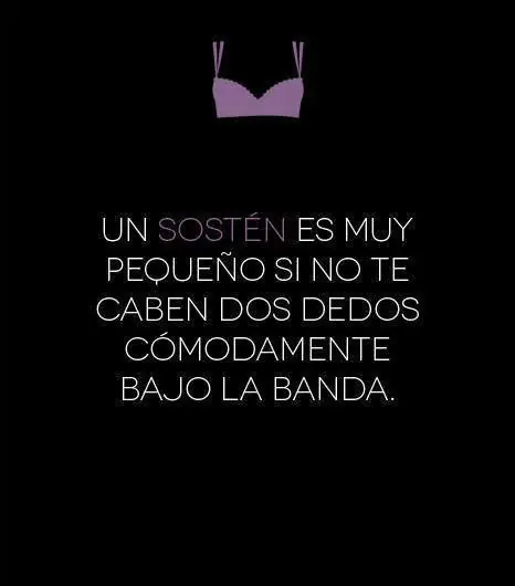 consejo