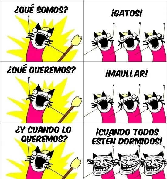 memes que somos que queremos