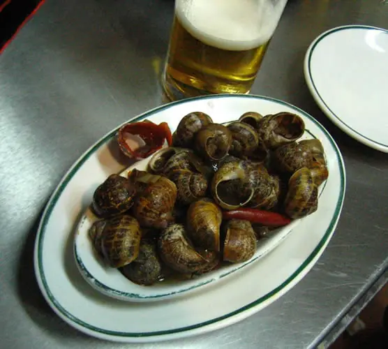 helicicultura helicicultura